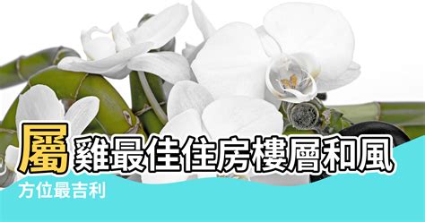 屬雞房子座向|【屬雞人住房風水和方位】屬雞最佳住房樓層和風水方位 